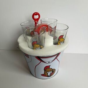 Ottawa Senators NHL Ice Bucket Set Beer Glasses